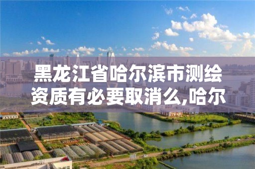 黑龙江省哈尔滨市测绘资质有必要取消么,哈尔滨的测绘公司有哪些