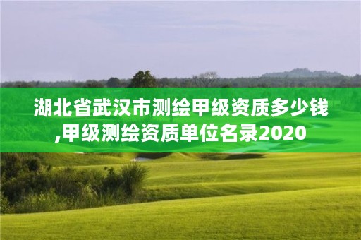 湖北省武汉市测绘甲级资质多少钱,甲级测绘资质单位名录2020