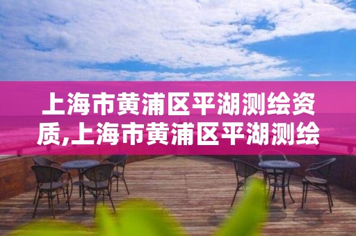 上海市黄浦区平湖测绘资质,上海市黄浦区平湖测绘资质企业名单