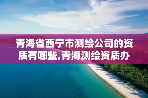 青海省西宁市测绘公司的资质有哪些,青海测绘资质办理