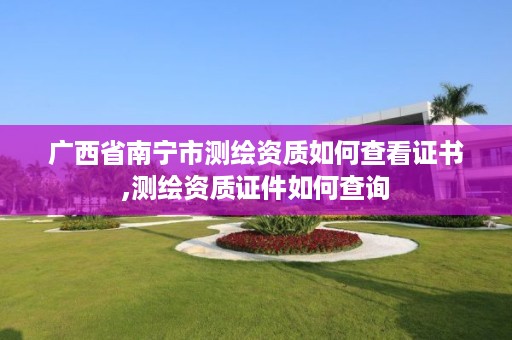 广西省南宁市测绘资质如何查看证书,测绘资质证件如何查询