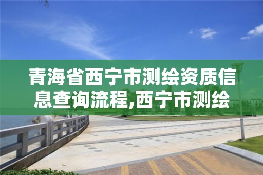 青海省西宁市测绘资质信息查询流程,西宁市测绘院招聘公示