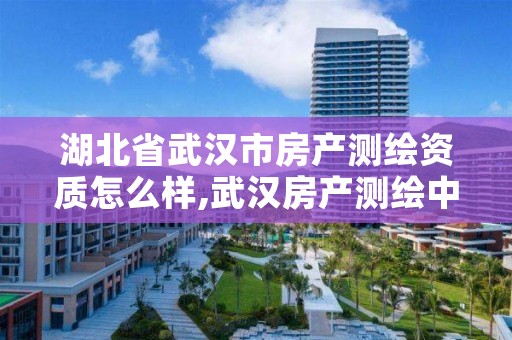 湖北省武汉市房产测绘资质怎么样,武汉房产测绘中心待遇怎么样