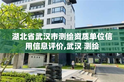 湖北省武汉市测绘资质单位信用信息评价,武汉 测绘