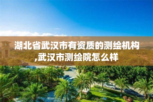 湖北省武汉市有资质的测绘机构,武汉市测绘院怎么样