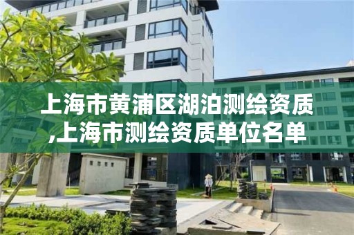 上海市黄浦区湖泊测绘资质,上海市测绘资质单位名单