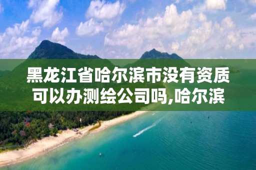 黑龙江省哈尔滨市没有资质可以办测绘公司吗,哈尔滨测绘公司电话