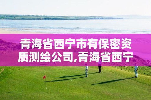 青海省西宁市有保密资质测绘公司,青海省西宁市测绘院