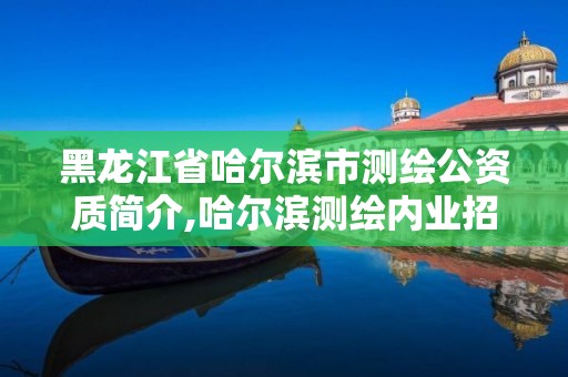 黑龙江省哈尔滨市测绘公资质简介,哈尔滨测绘内业招聘信息