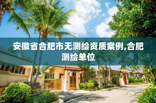 安徽省合肥市无测绘资质案例,合肥测绘单位