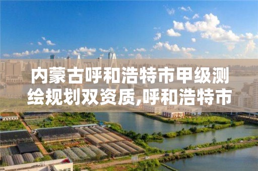 内蒙古呼和浩特市甲级测绘规划双资质,呼和浩特市勘察测绘研究院电话