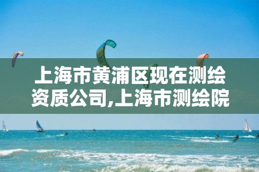 上海市黄浦区现在测绘资质公司,上海市测绘院营业时间