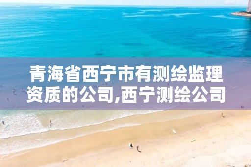 青海省西宁市有测绘监理资质的公司,西宁测绘公司有哪些