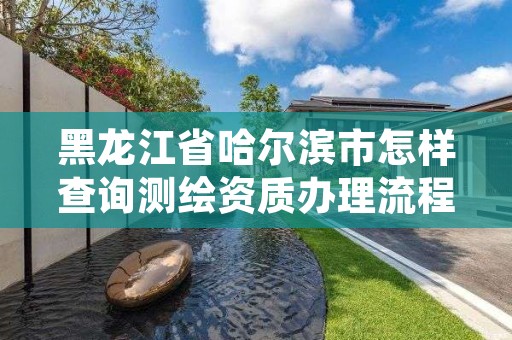 黑龙江省哈尔滨市怎样查询测绘资质办理流程,哈尔滨测绘局是干什么的