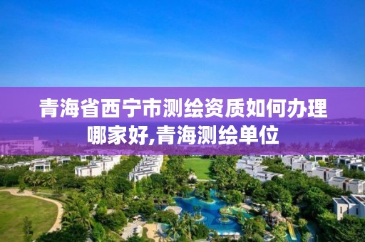 青海省西宁市测绘资质如何办理哪家好,青海测绘单位