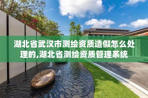 湖北省武汉市测绘资质造假怎么处理的,湖北省测绘资质管理系统