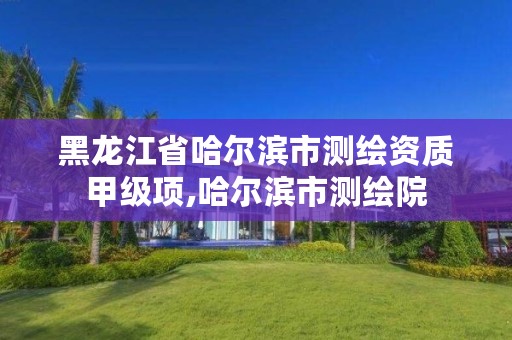 黑龙江省哈尔滨市测绘资质甲级项,哈尔滨市测绘院