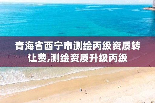 青海省西宁市测绘丙级资质转让费,测绘资质升级丙级