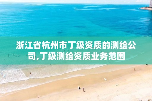 浙江省杭州市丁级资质的测绘公司,丁级测绘资质业务范围