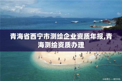 青海省西宁市测绘企业资质年报,青海测绘资质办理