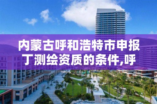 内蒙古呼和浩特市申报丁测绘资质的条件,呼和浩特测绘院