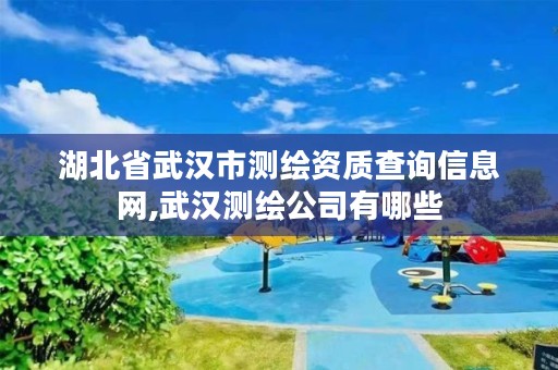 湖北省武汉市测绘资质查询信息网,武汉测绘公司有哪些