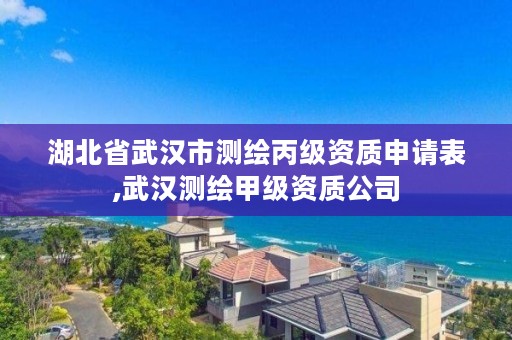 湖北省武汉市测绘丙级资质申请表,武汉测绘甲级资质公司