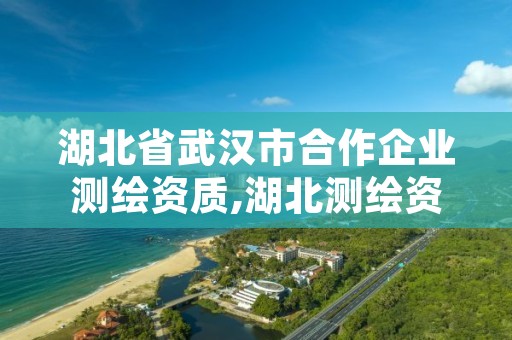 湖北省武汉市合作企业测绘资质,湖北测绘资质单位