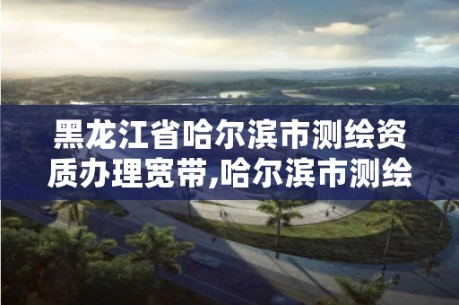 黑龙江省哈尔滨市测绘资质办理宽带,哈尔滨市测绘院