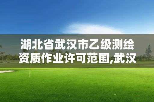 湖北省武汉市乙级测绘资质作业许可范围,武汉测绘单位