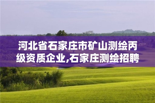 河北省石家庄市矿山测绘丙级资质企业,石家庄测绘招聘信息