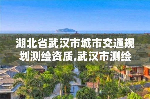 湖北省武汉市城市交通规划测绘资质,武汉市测绘管理条例