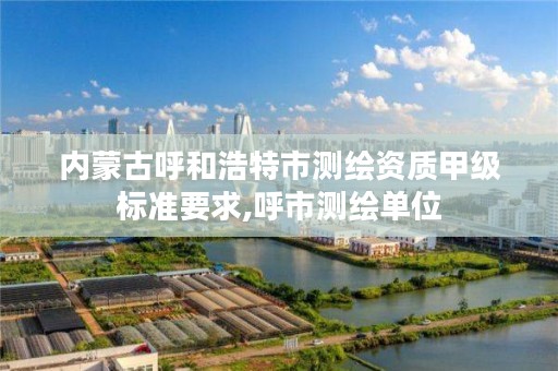 内蒙古呼和浩特市测绘资质甲级标准要求,呼市测绘单位