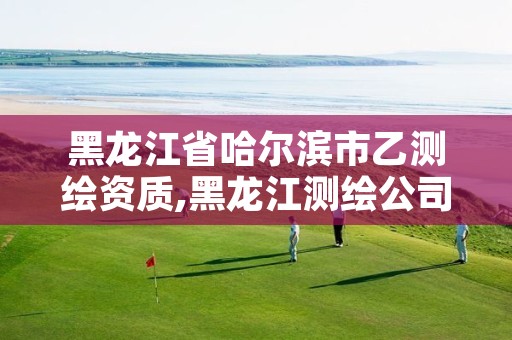 黑龙江省哈尔滨市乙测绘资质,黑龙江测绘公司乙级资质