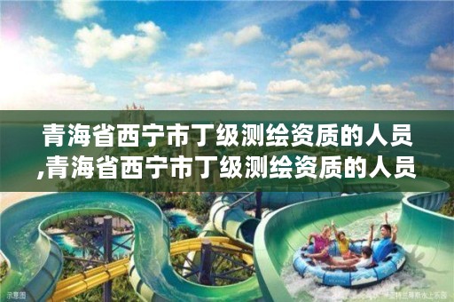 青海省西宁市丁级测绘资质的人员,青海省西宁市丁级测绘资质的人员有哪些