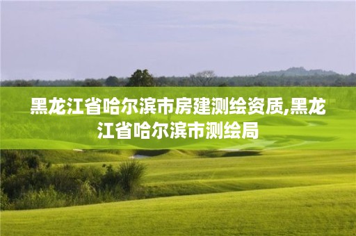 黑龙江省哈尔滨市房建测绘资质,黑龙江省哈尔滨市测绘局