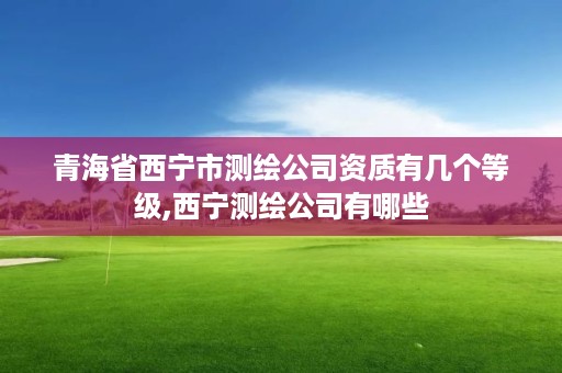 青海省西宁市测绘公司资质有几个等级,西宁测绘公司有哪些