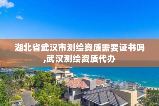 湖北省武汉市测绘资质需要证书吗,武汉测绘资质代办