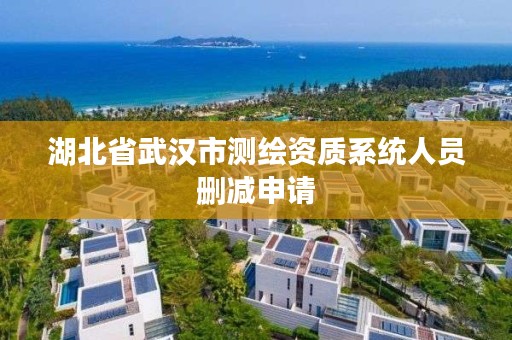 湖北省武汉市测绘资质系统人员删减申请