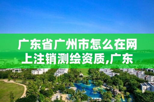 广东省广州市怎么在网上注销测绘资质,广东注册测绘师