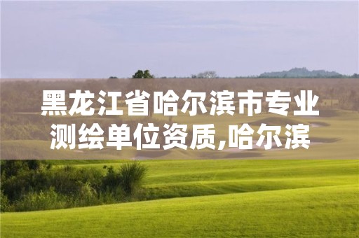 黑龙江省哈尔滨市专业测绘单位资质,哈尔滨测绘内业招聘信息