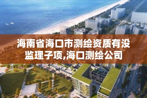 海南省海口市测绘资质有没监理子项,海口测绘公司