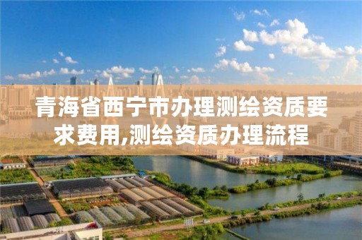 青海省西宁市办理测绘资质要求费用,测绘资质办理流程