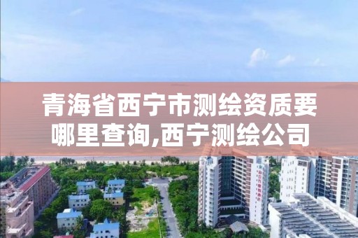 青海省西宁市测绘资质要哪里查询,西宁测绘公司