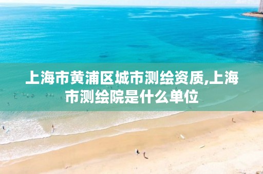 上海市黄浦区城市测绘资质,上海市测绘院是什么单位