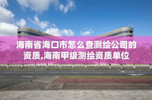 海南省海口市怎么查测绘公司的资质,海南甲级测绘资质单位