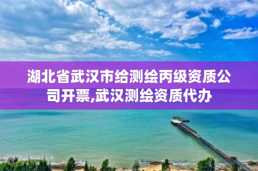 湖北省武汉市给测绘丙级资质公司开票,武汉测绘资质代办