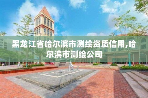 黑龙江省哈尔滨市测绘资质信用,哈尔滨市测绘公司