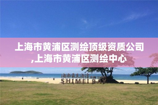 上海市黄浦区测绘顶级资质公司,上海市黄浦区测绘中心