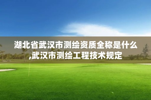 湖北省武汉市测绘资质全称是什么,武汉市测绘工程技术规定